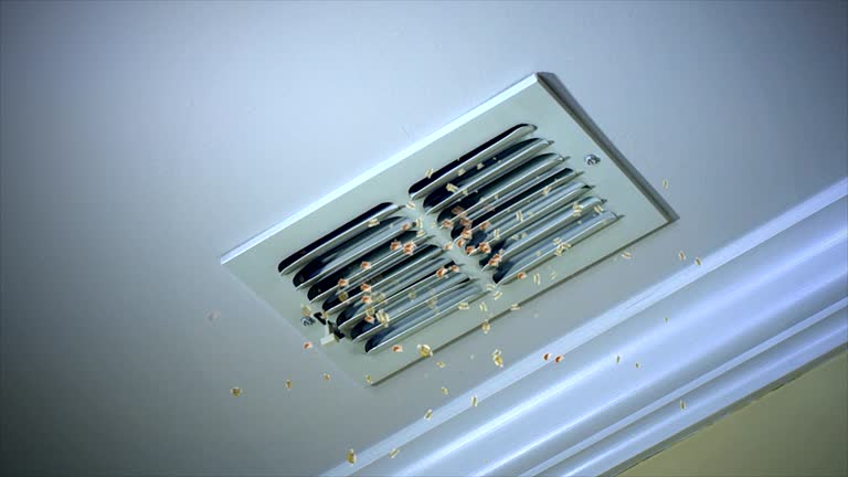 Best Professional Duct Cleaning Services  in Doctor Phillips, FL