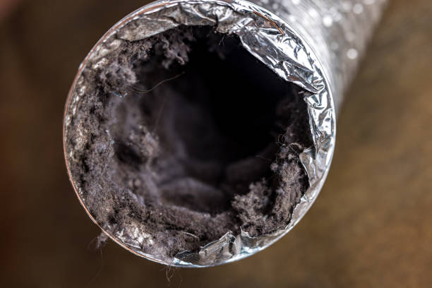 Best HVAC Air Duct Cleaning  in Doctor Phillips, FL