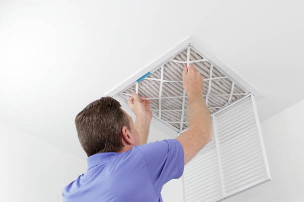 Best Air Duct Cleaning Company Near Me  in Doctor Phillips, FL